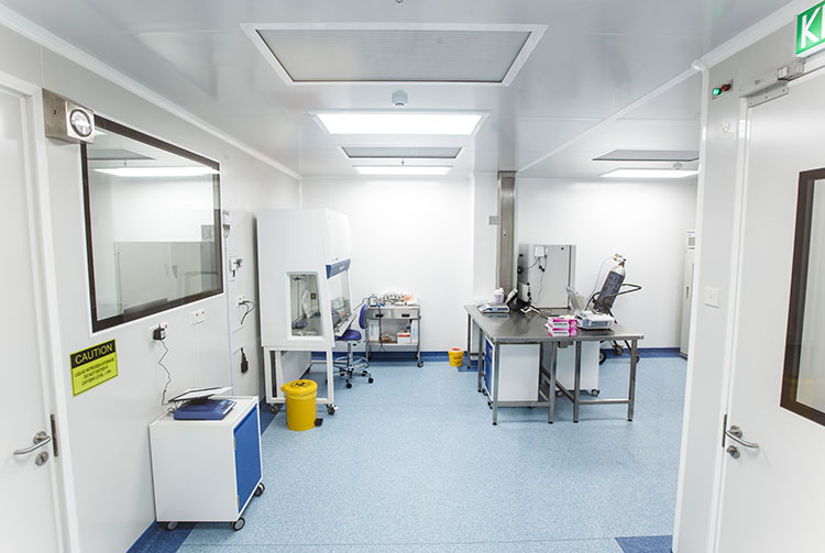 Pharmaceutical GMP Cleanroom - Biosafety Laboratory Design ...